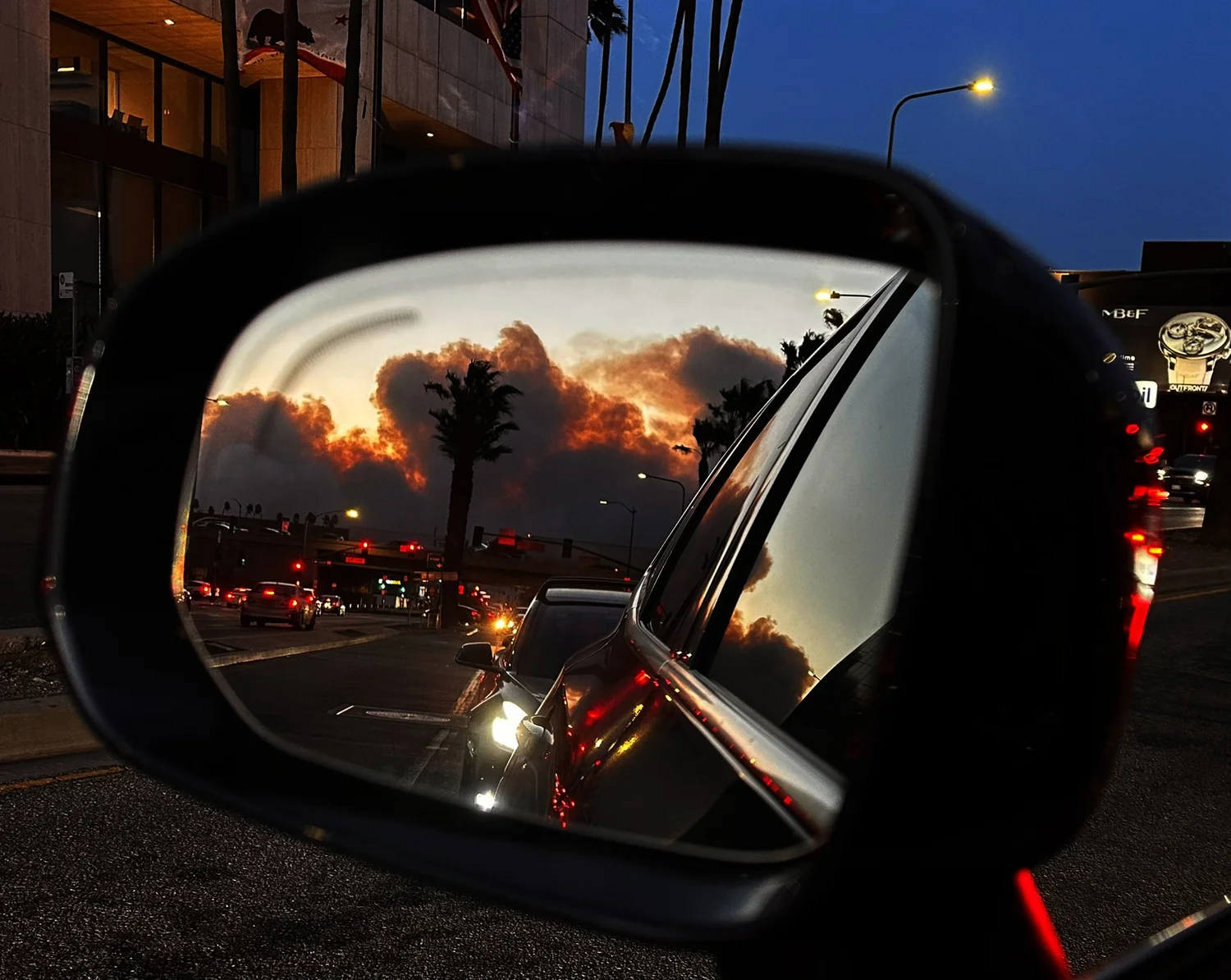Escaping the LA Wildfires — Rosemary Miklitsch