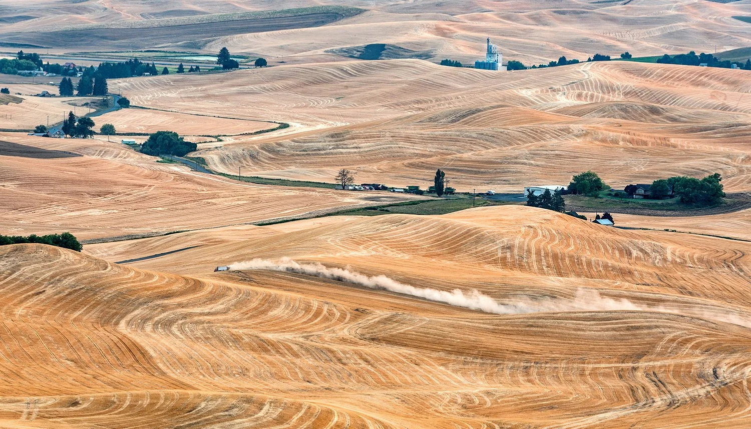Butte View — Beamie Young
