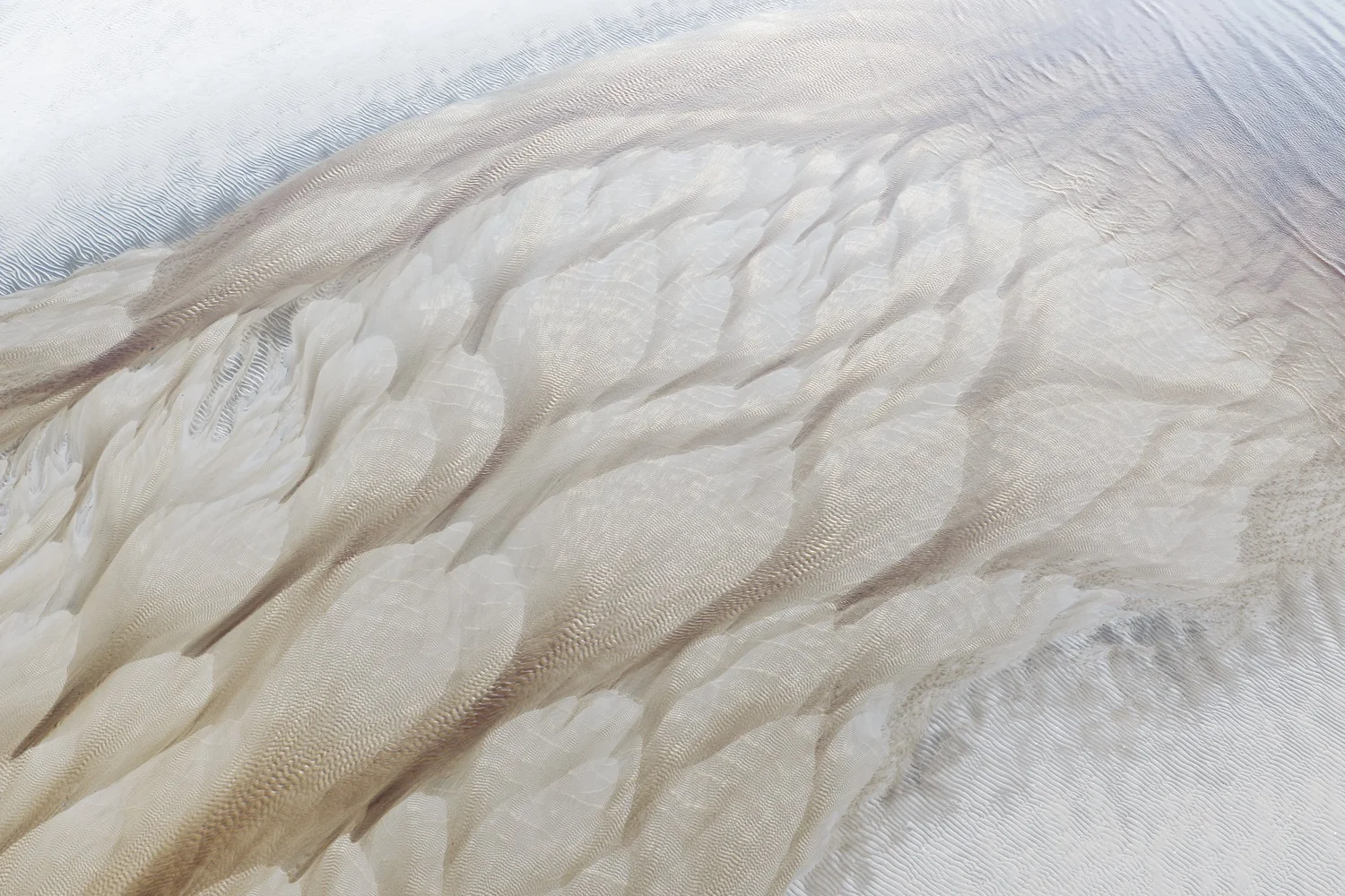 Cape Feathers No. 1 — James Rodewald