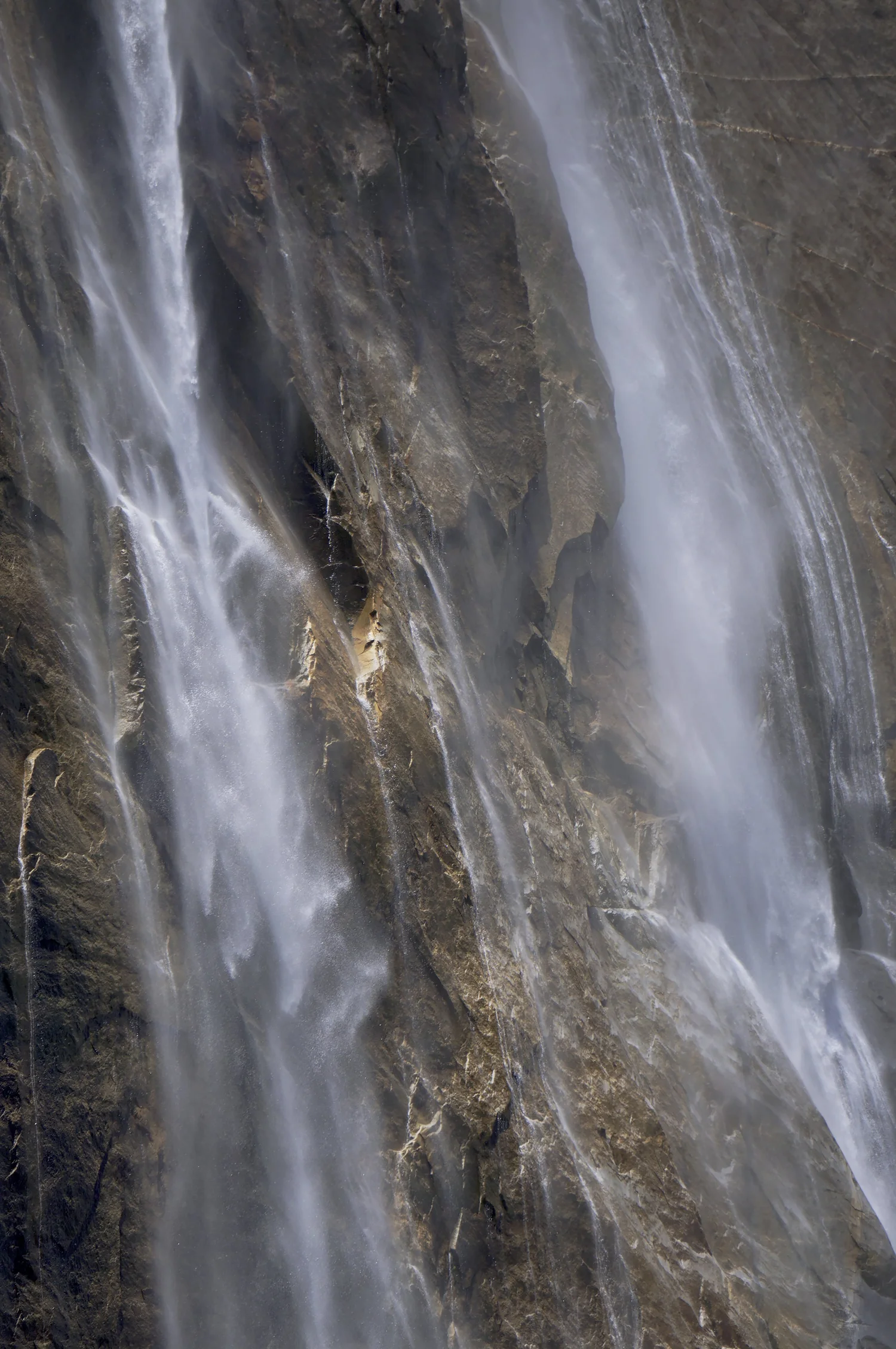 What the Water Leaves — Mecca Riane