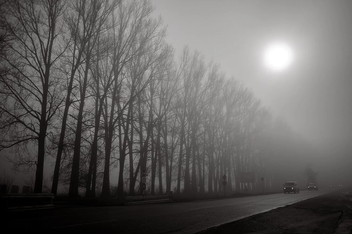 Sudek's Passage — Chester Ng