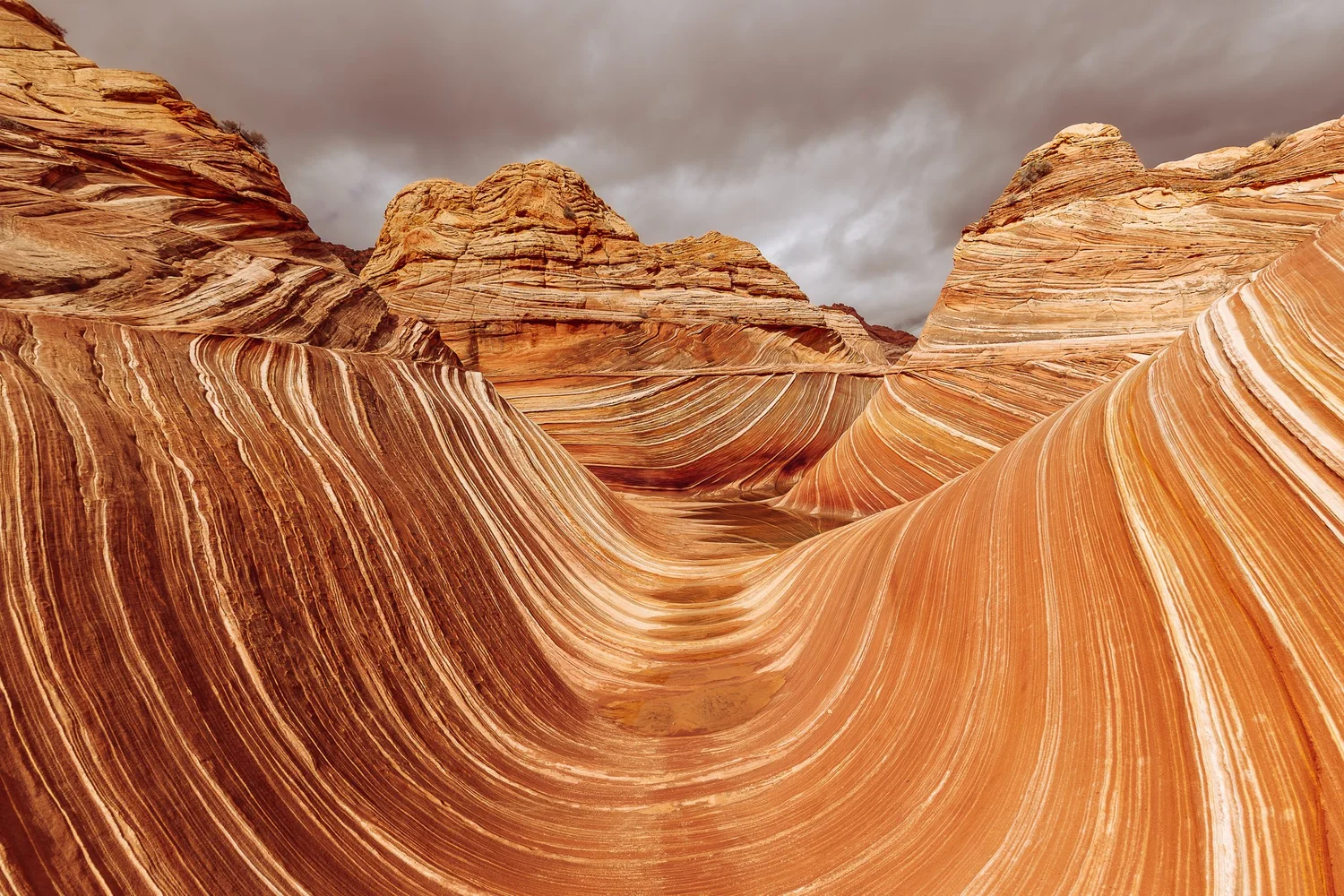 Symphony of Waves — Dayana Hernandez