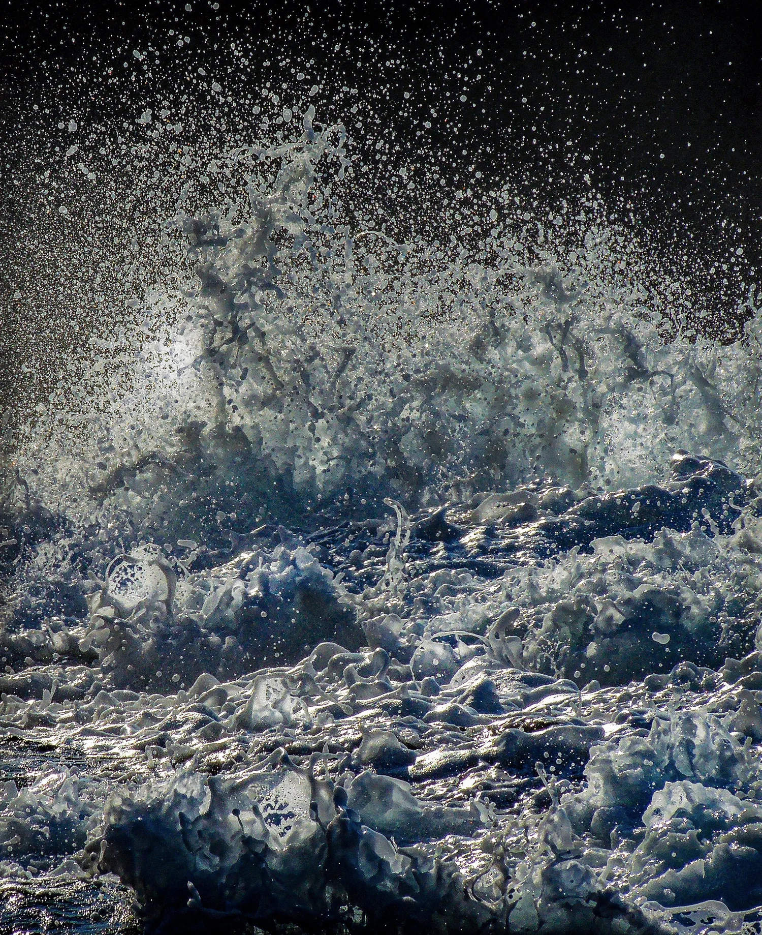 Silver Tempest — Shingo Ohta