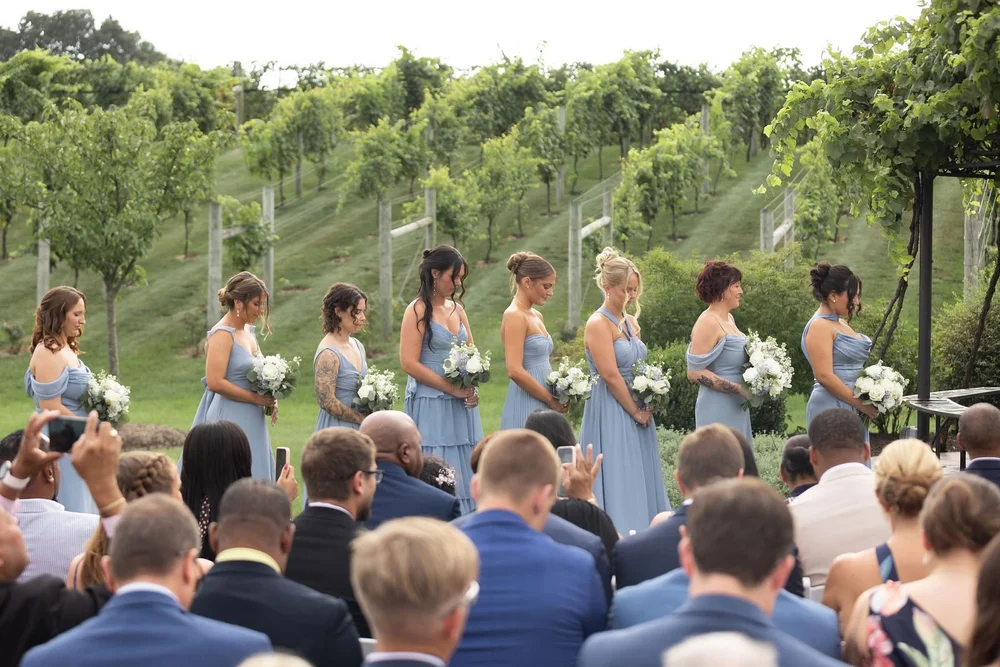Guests watching a ceremony at the Folino gazebo with the vineyard beyond
