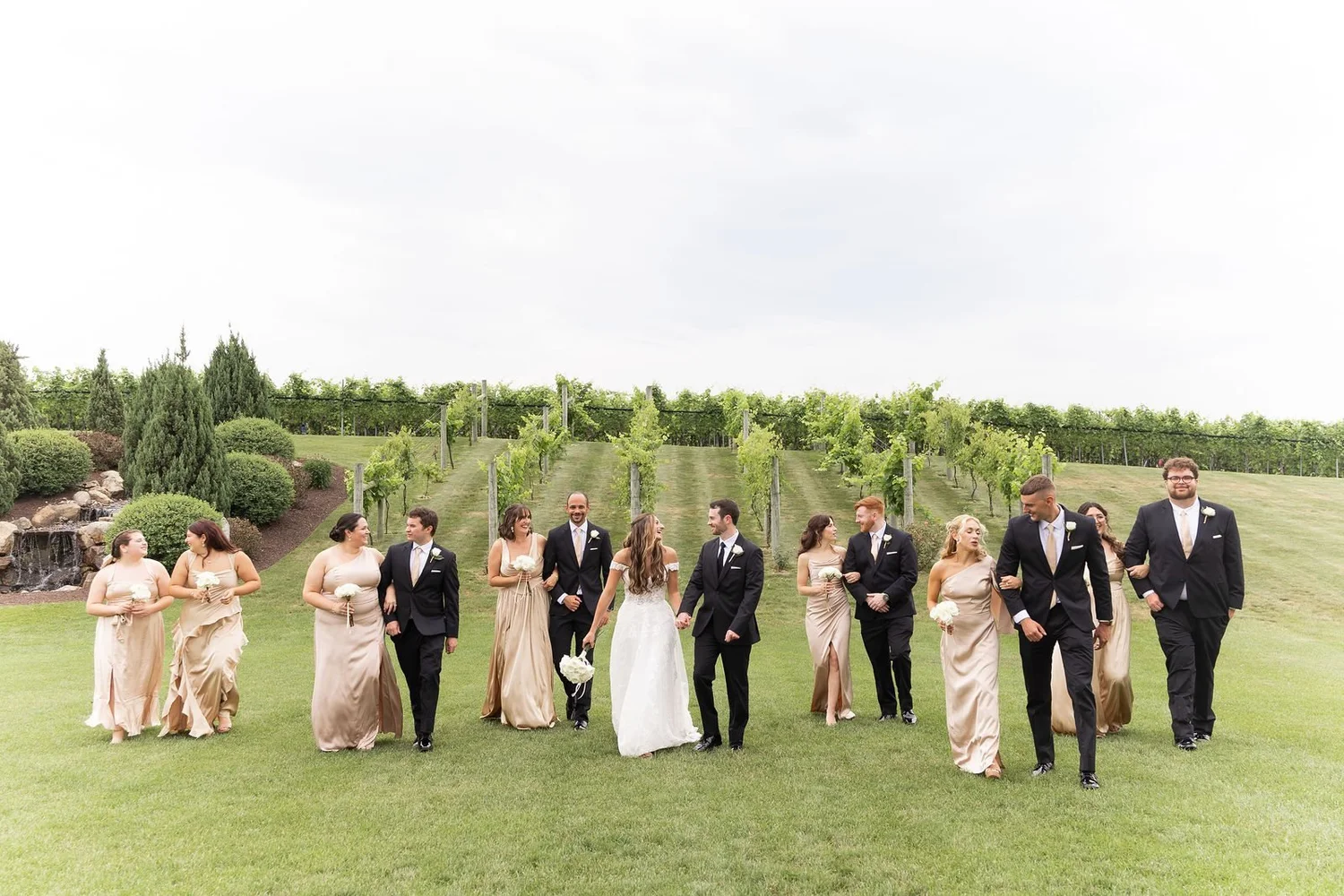Wedding party walking through the vineyard at Folino Estate
