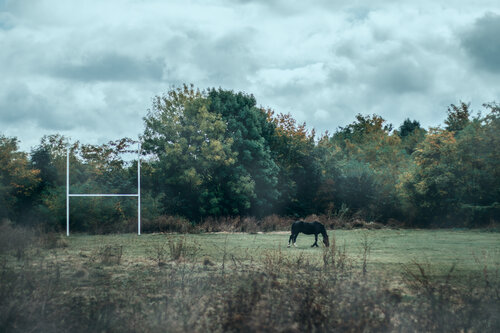 emptyfield
