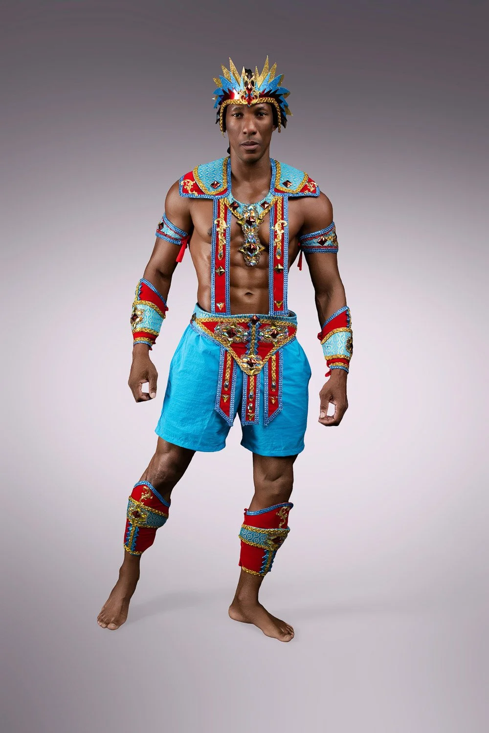 Macaw Valiant Male Package Option