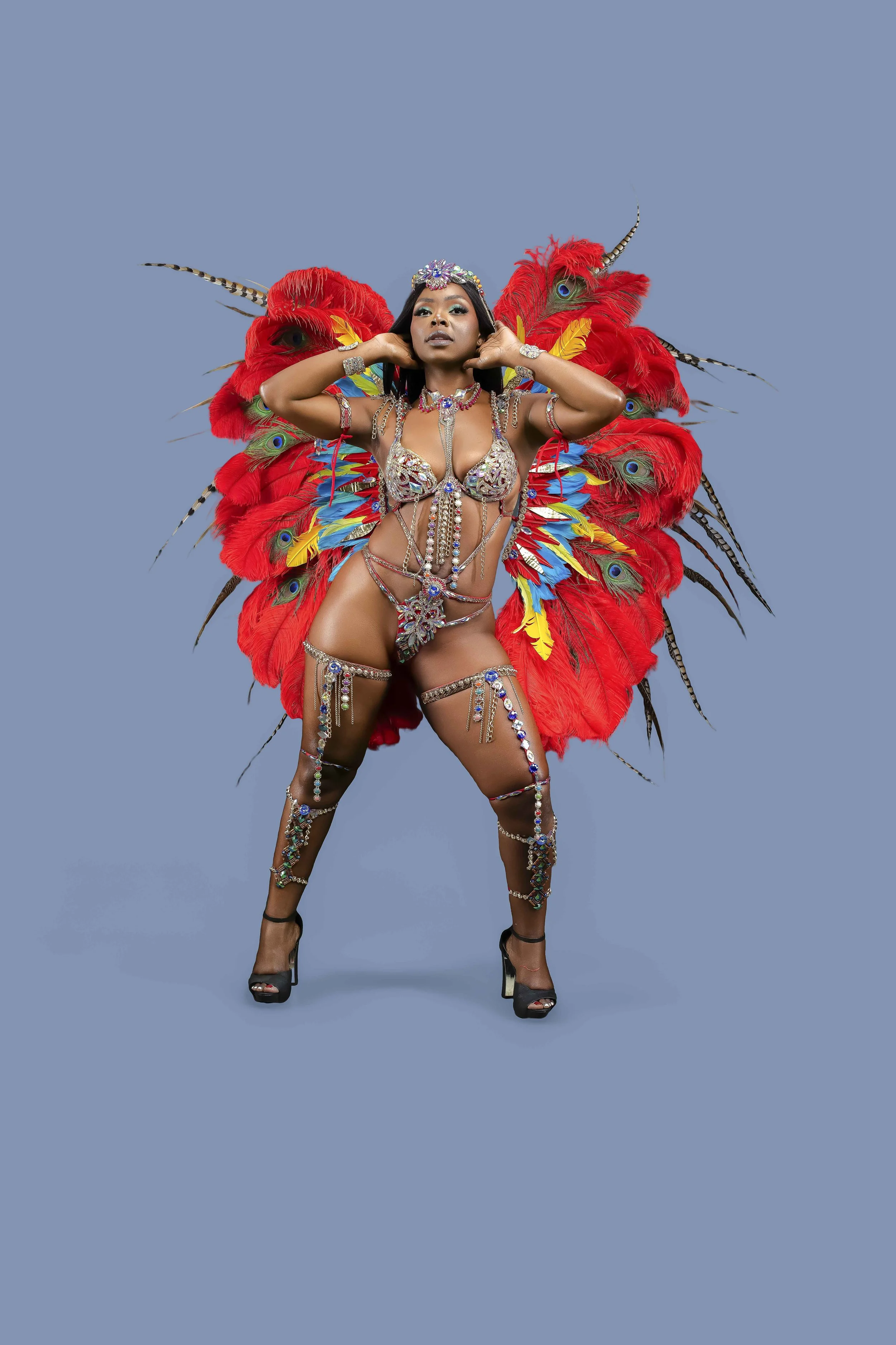 Alexander Bird Wing Platinum Package Option