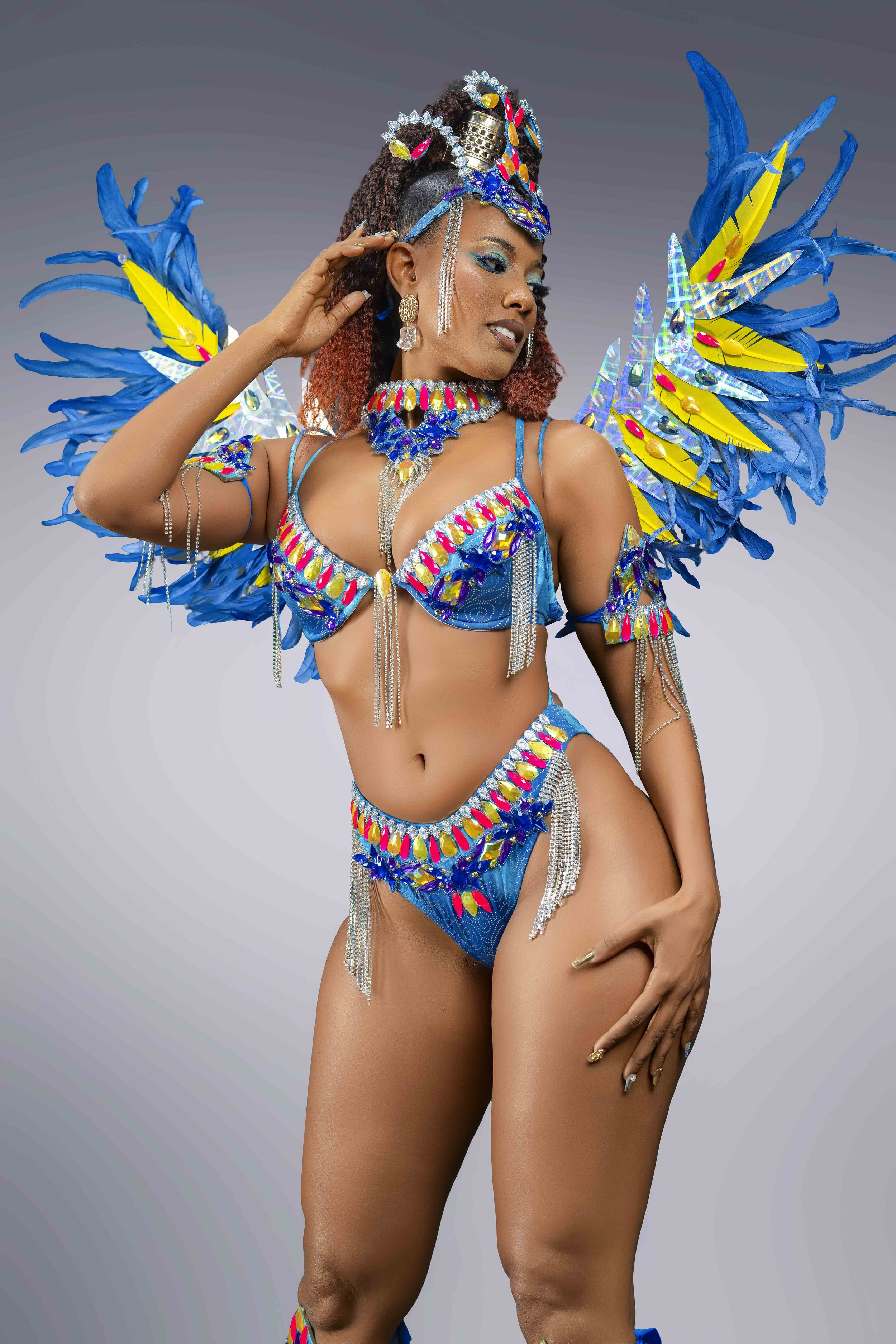Blue Jay Ascent Silver Tier Option