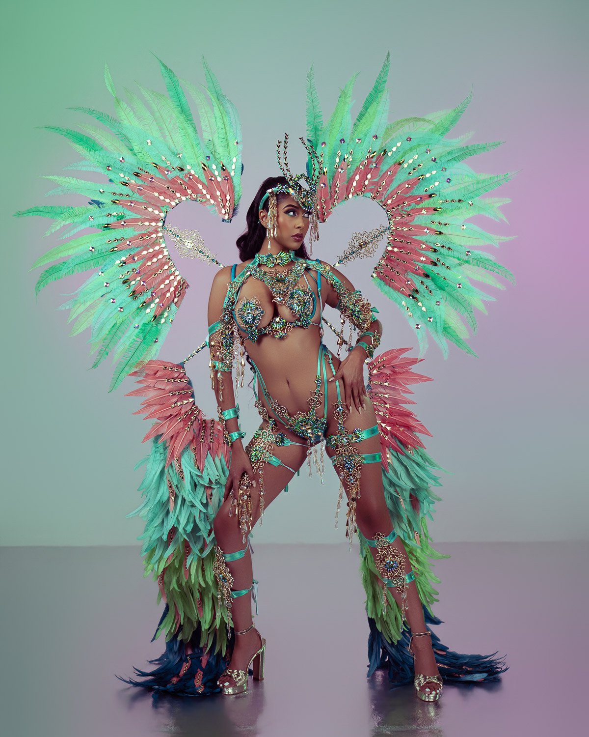 Dragonfly Diamond Tier Option