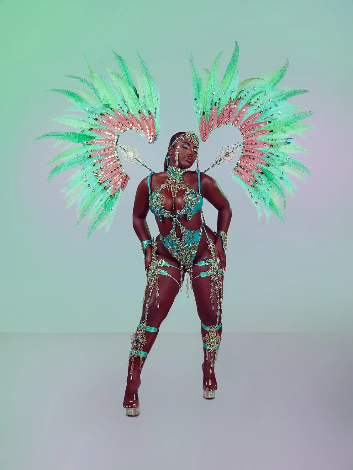 Dragonfly Gold Tier Option