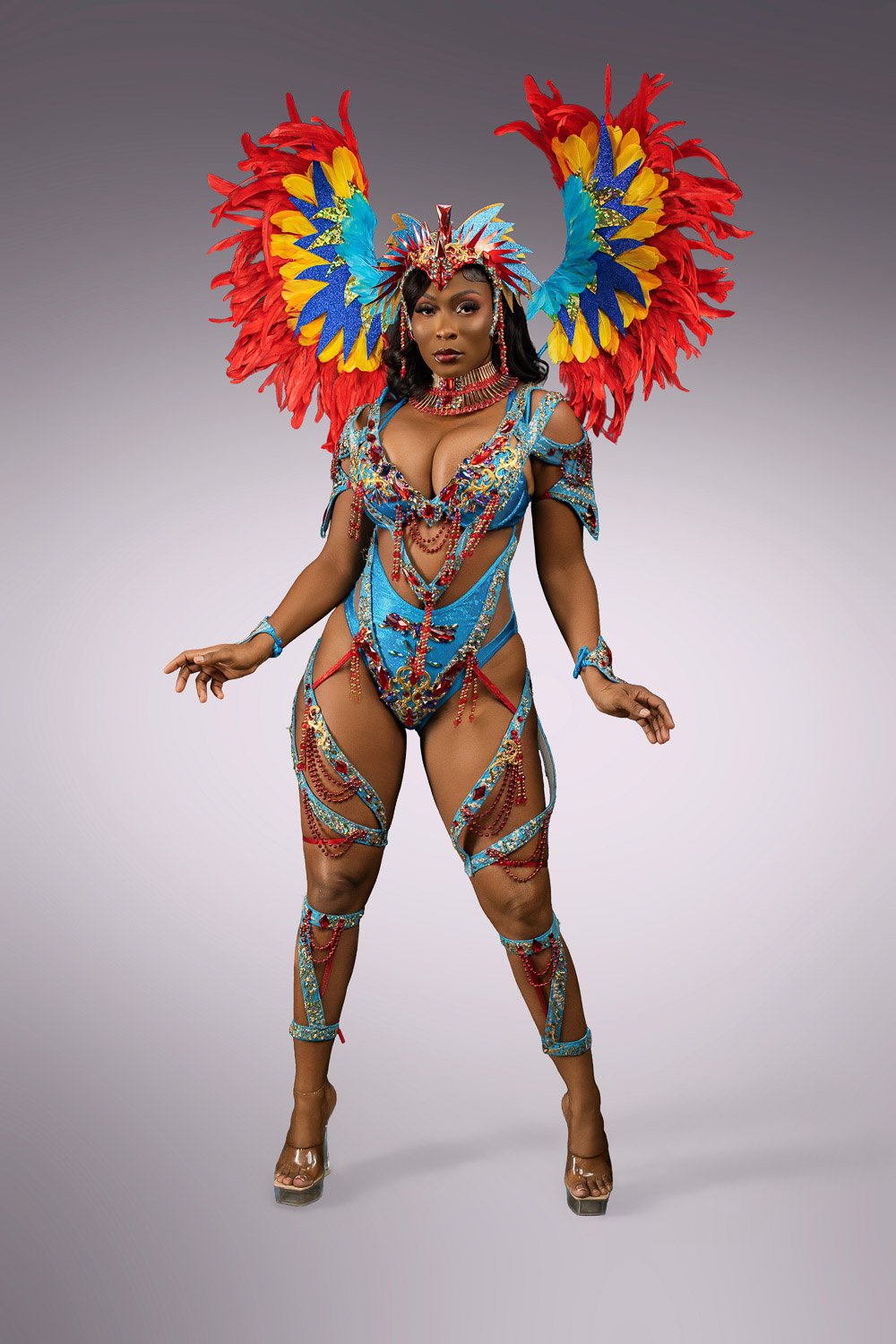 Macaw Valiant Silver Tier - Standard Option