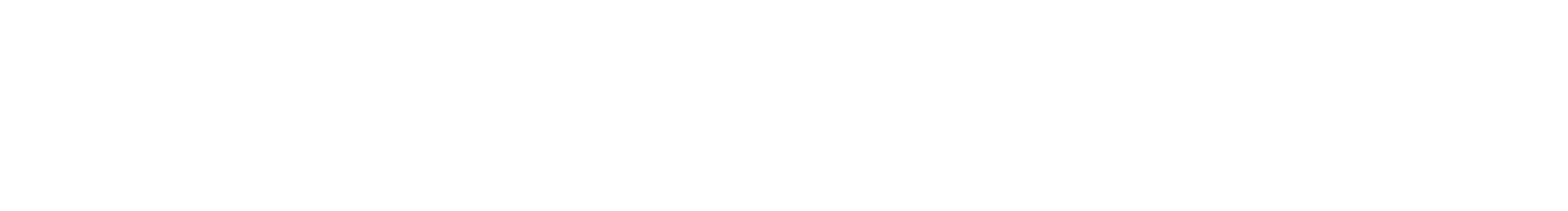 Next Level Construct
