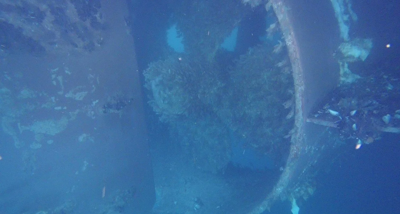 Ducted propeller with marine growth inspected underwater