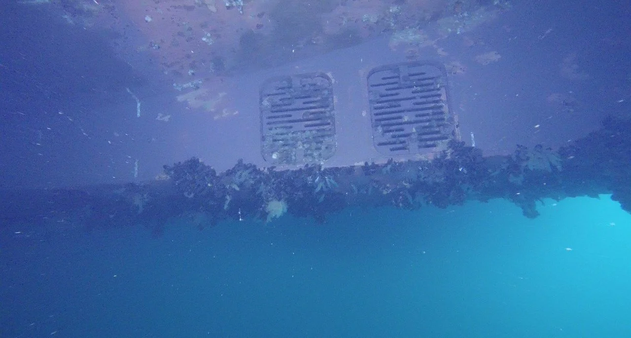 Sea chest gratings inspected underwater on a ship in Grenland, Norway