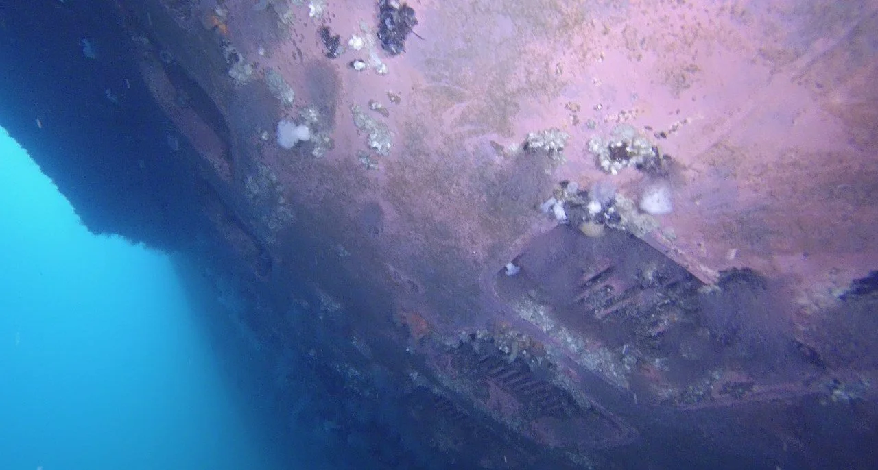 Fouled bottom plating and gratings on a ship's hull