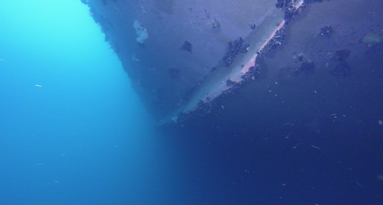 Marine growth on a ship's hull recorded during underwater hull inspection