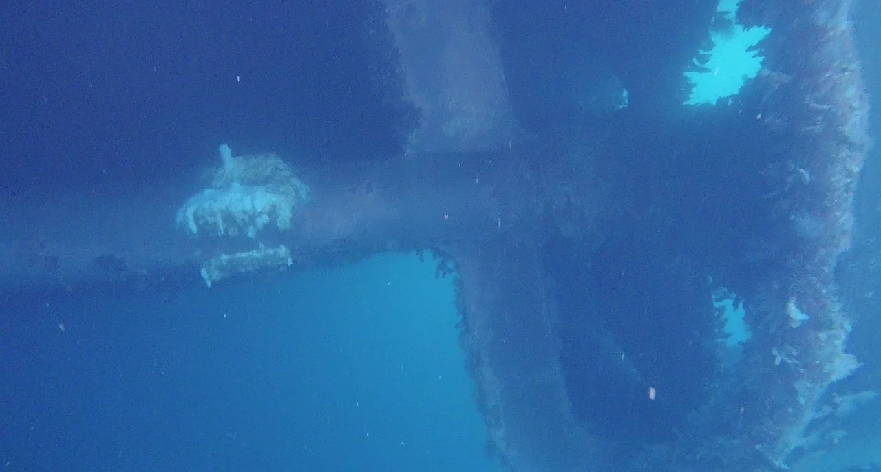 Diver inspection of a fouled ship propeller underwater