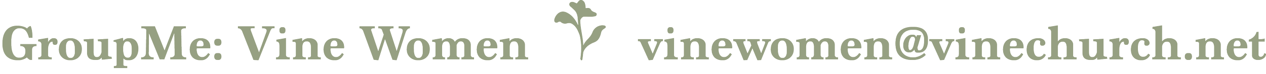 Vine Women ministry information