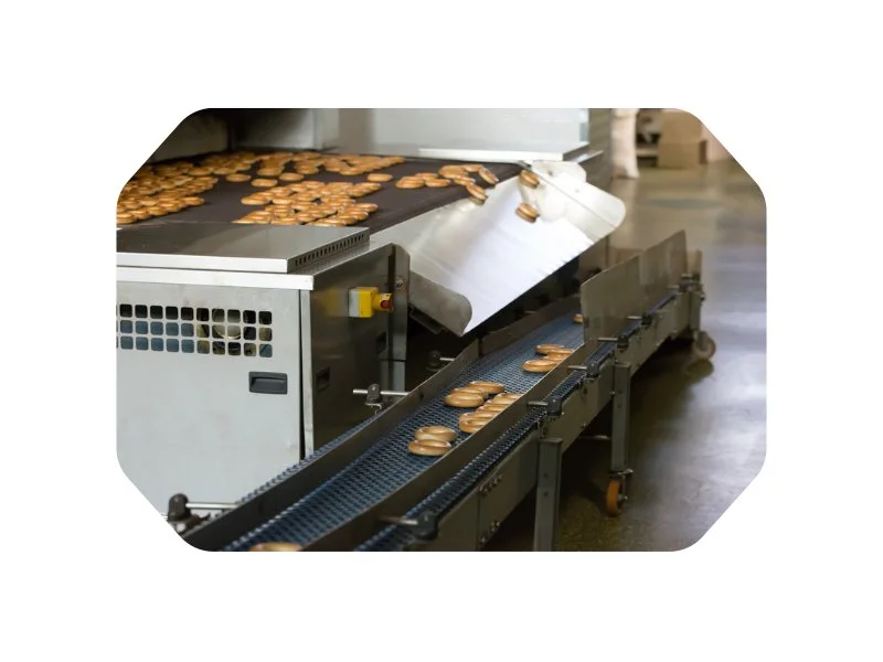 Industrial biscuit production line with cookies moving along a conveyor, illustrating scalable manufacturing