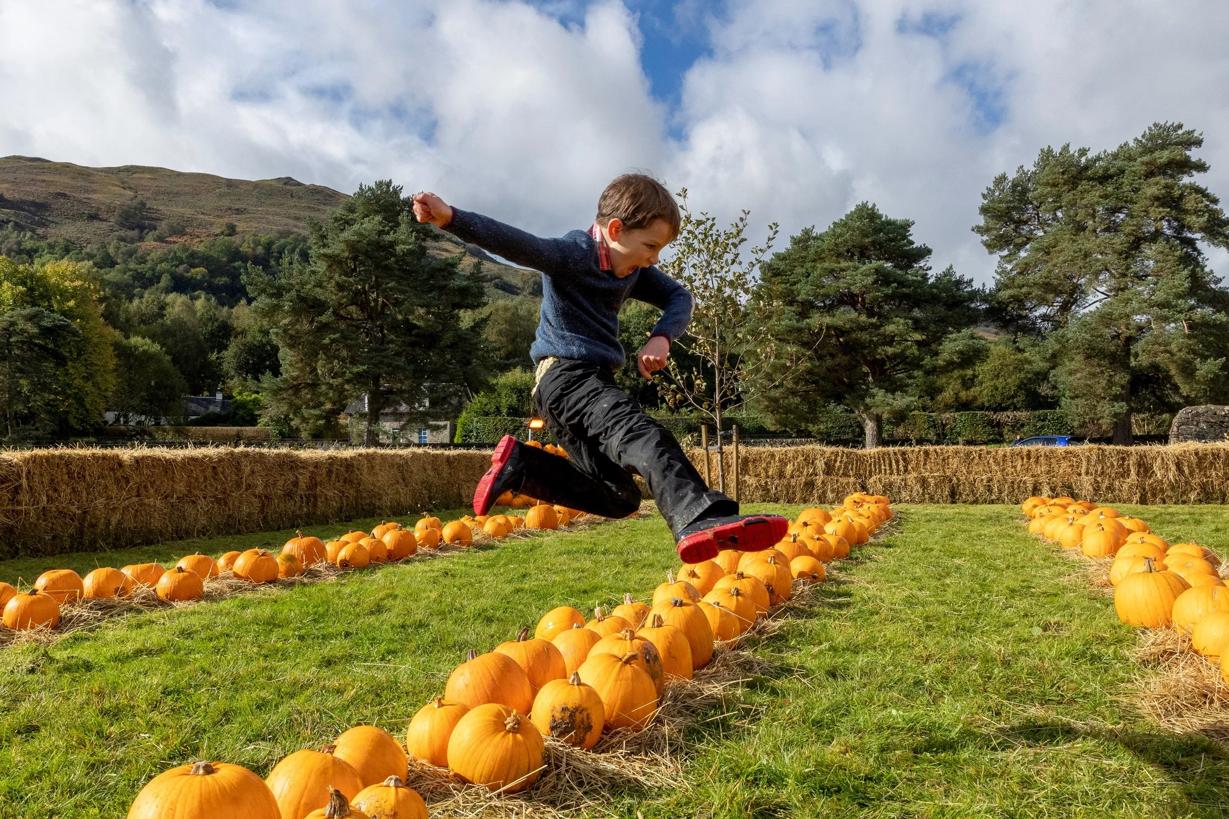 The Pumpkin Patch at Loch Lomond