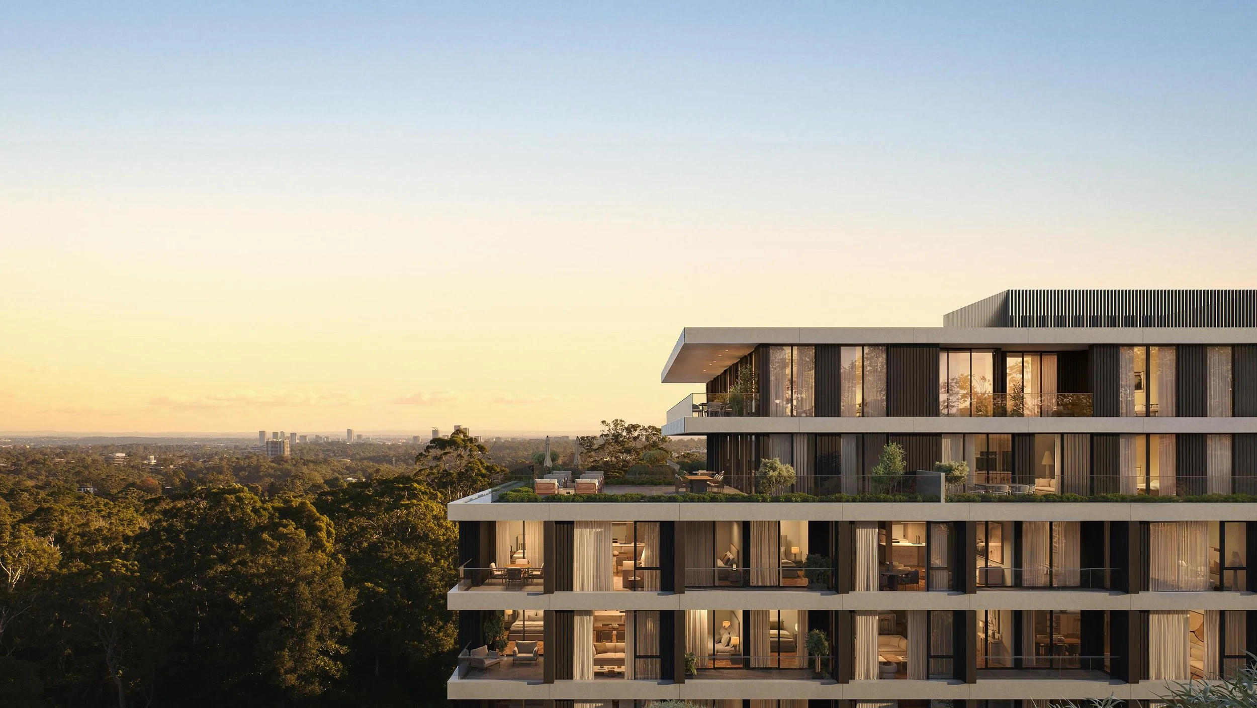 Roseville Boronia - Hero