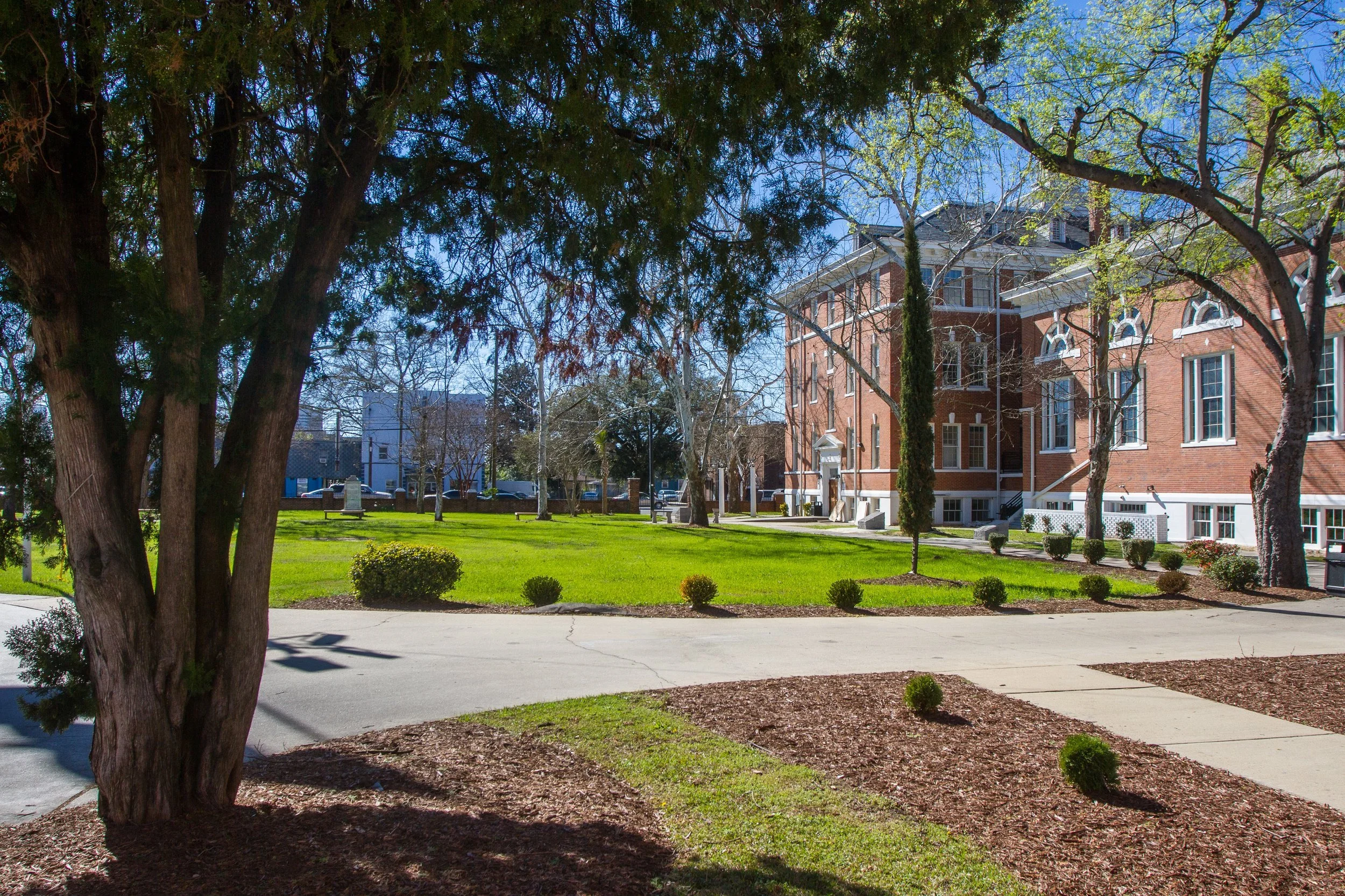 The Allen University campus lawn and historic buildings in spring