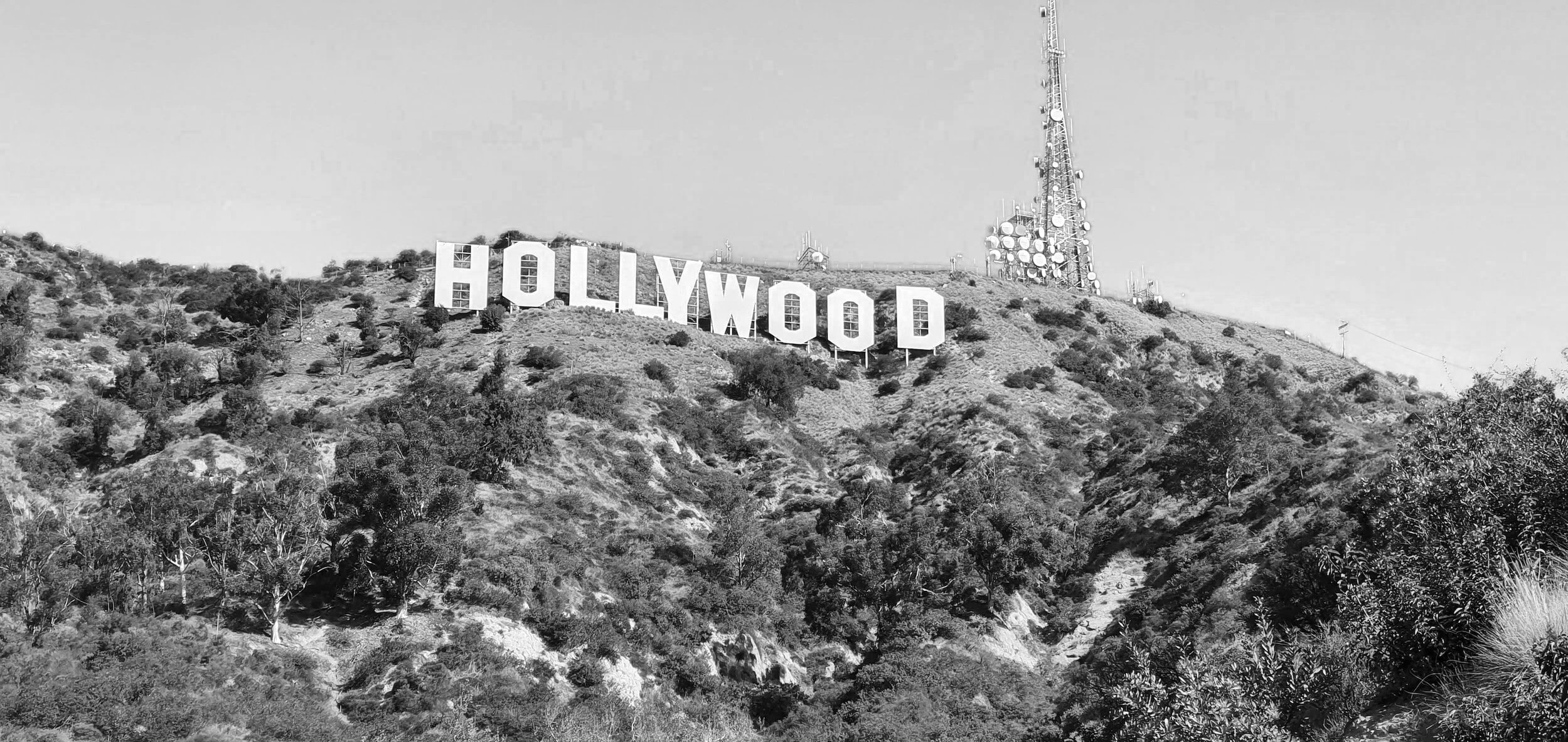 Original 1923 Hollywood Sign Vintage Artifact