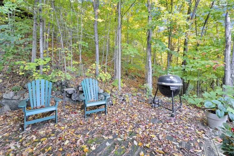 Woodland seating area at 755 Ch. du Lac-Meech, Chelsea