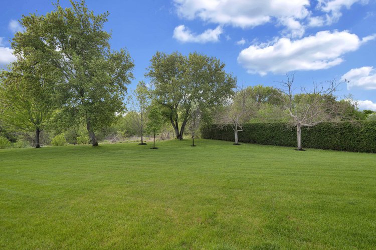 Lawn and grounds at 812 McManus Avenue
