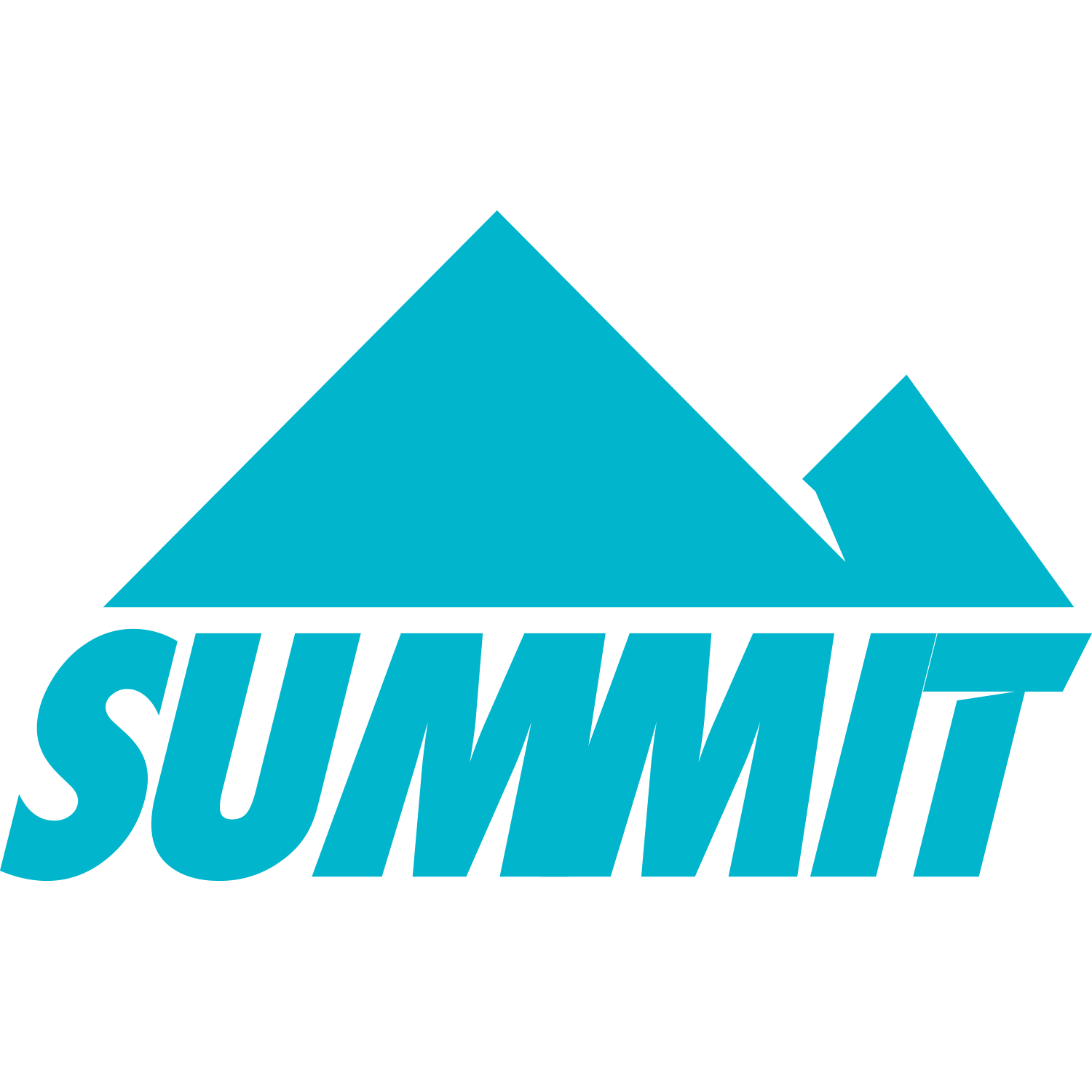 BFT Cardio Summit class logo