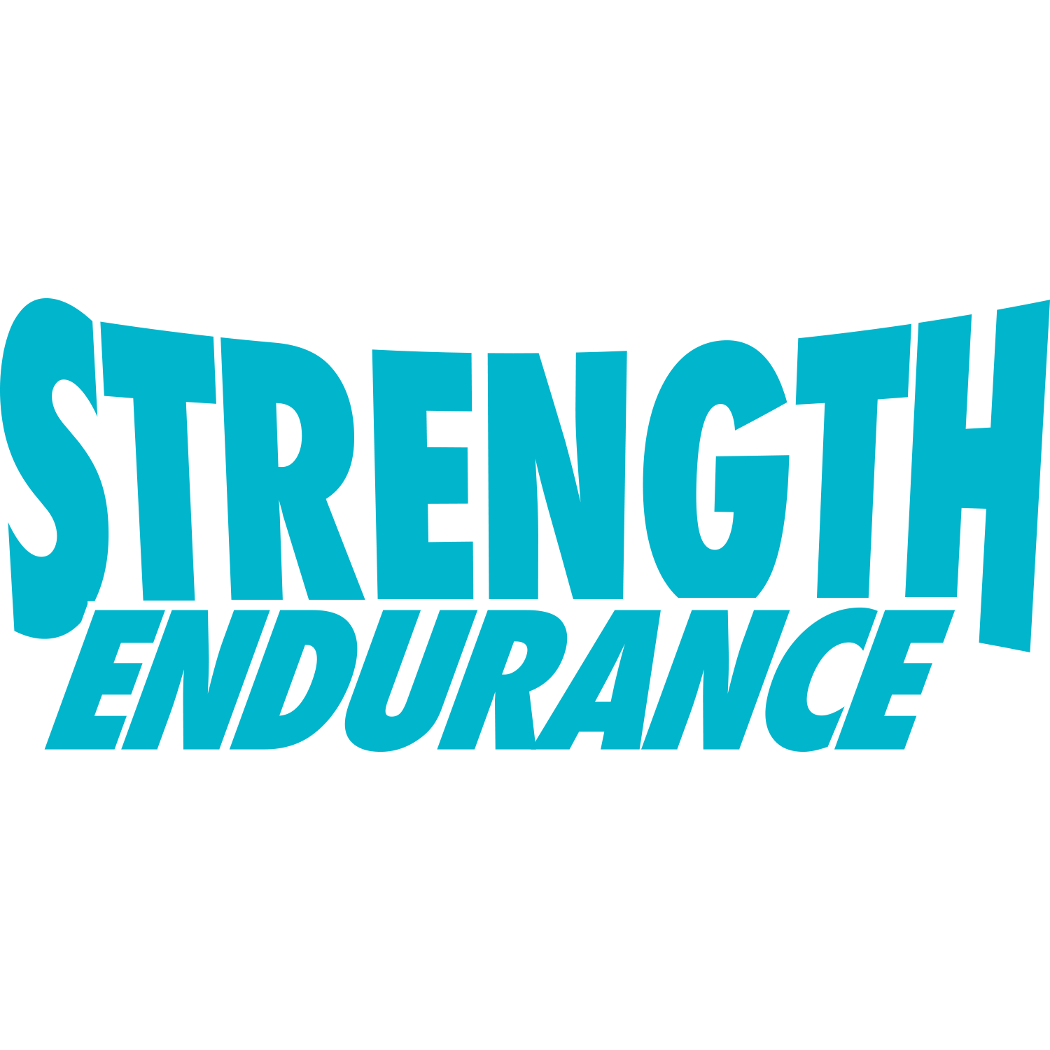 BFT Strength Endurance class logo