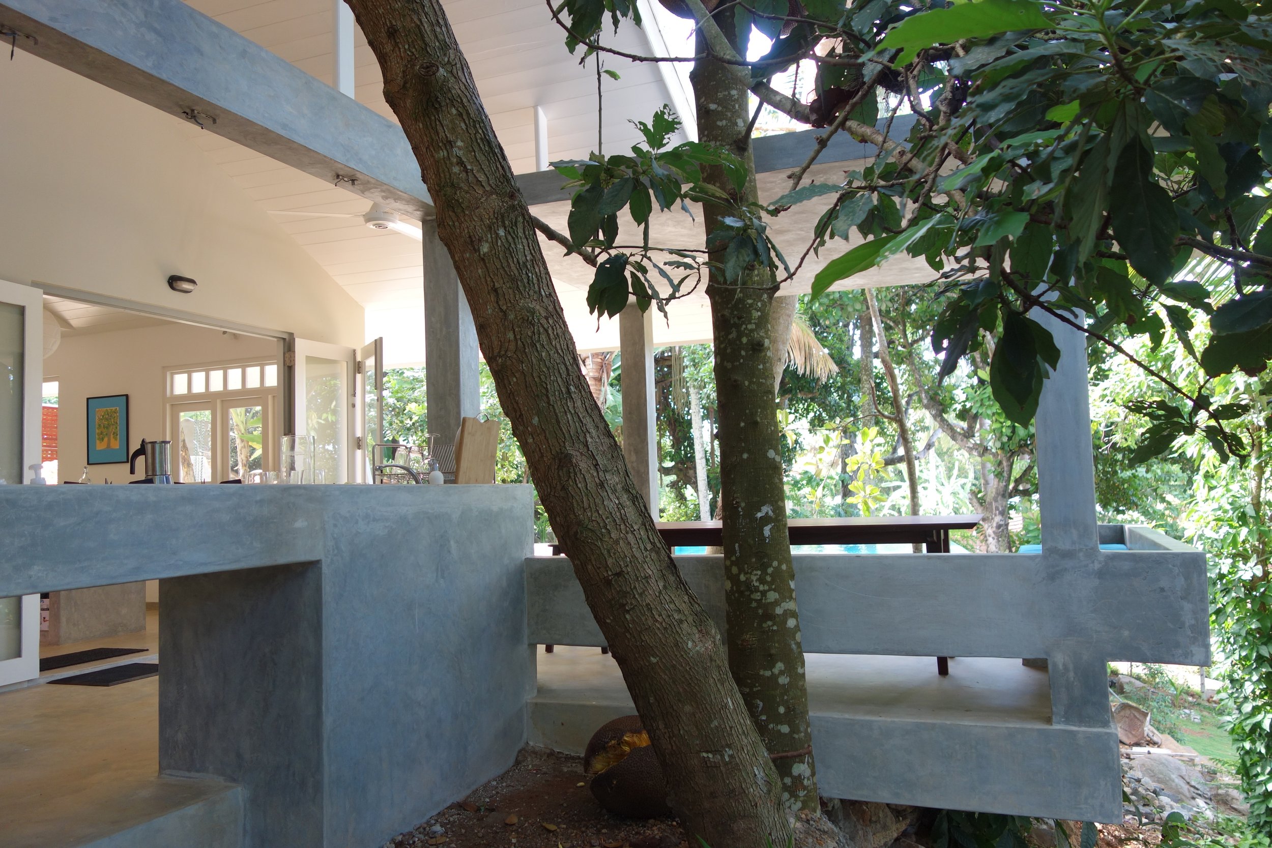 Kitchen and dining pavilion around an existing tree