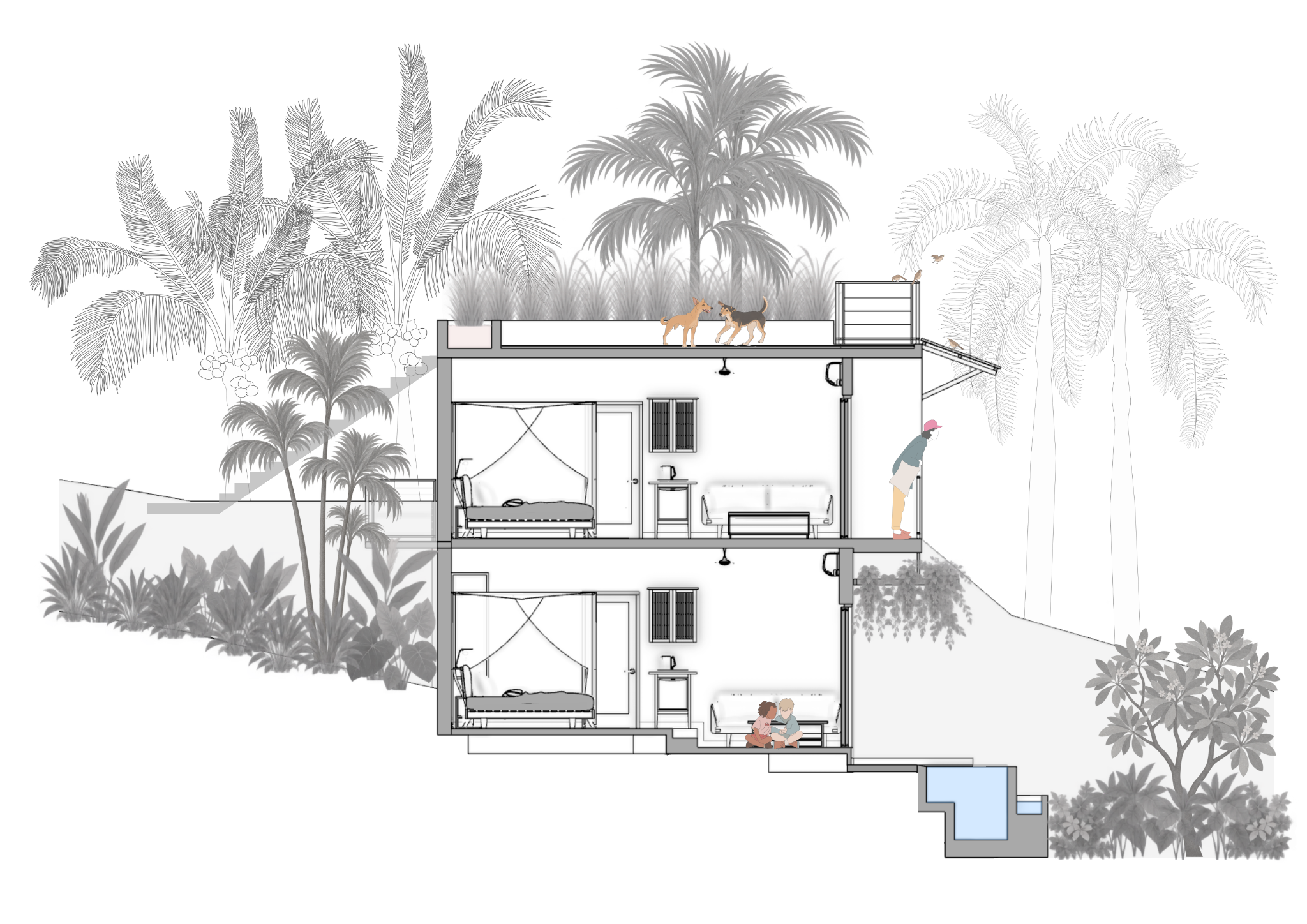 Garden Suites architectural section