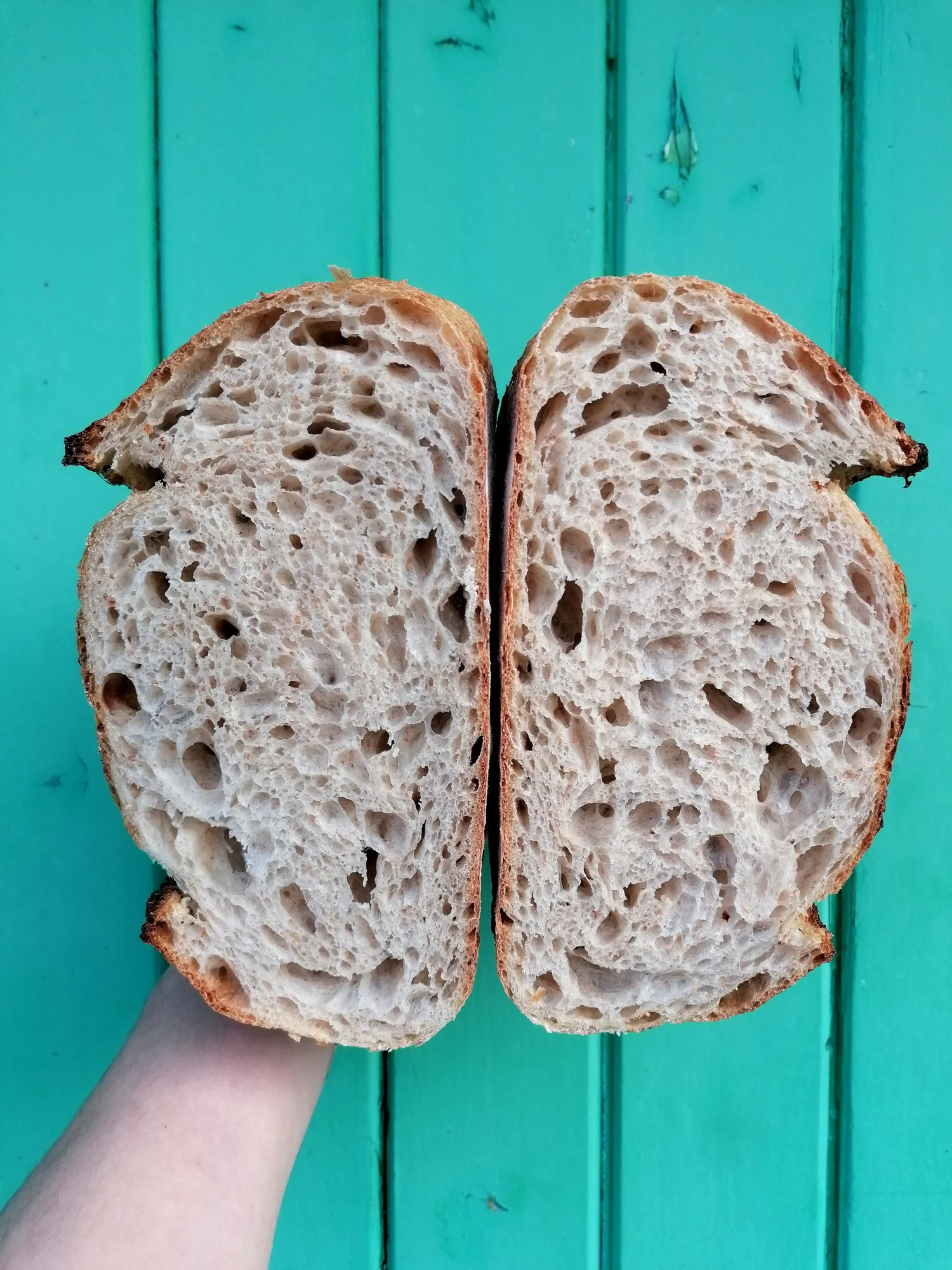 A sourdough split open to show the crumb