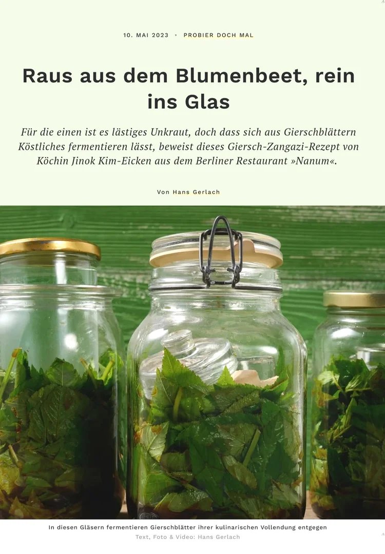Tip Magazin und Link zum Artikel im Tip Newsletter
