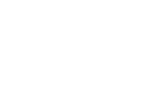 Boss Basketball Performance logo