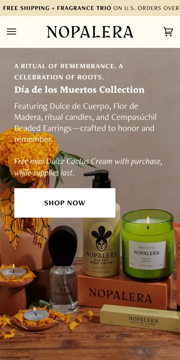 Nopalera website on mobile view