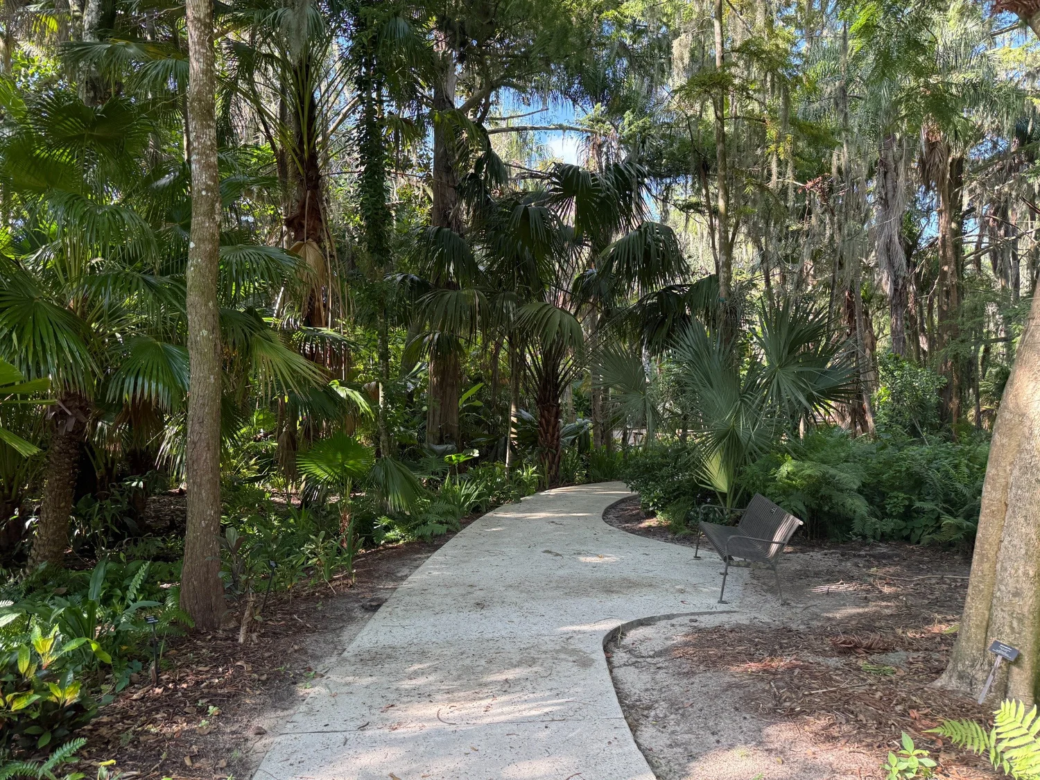 Daytime photograph of the Tropical Stream Garden before the Polar Nights installation