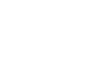 Dazzling Nights