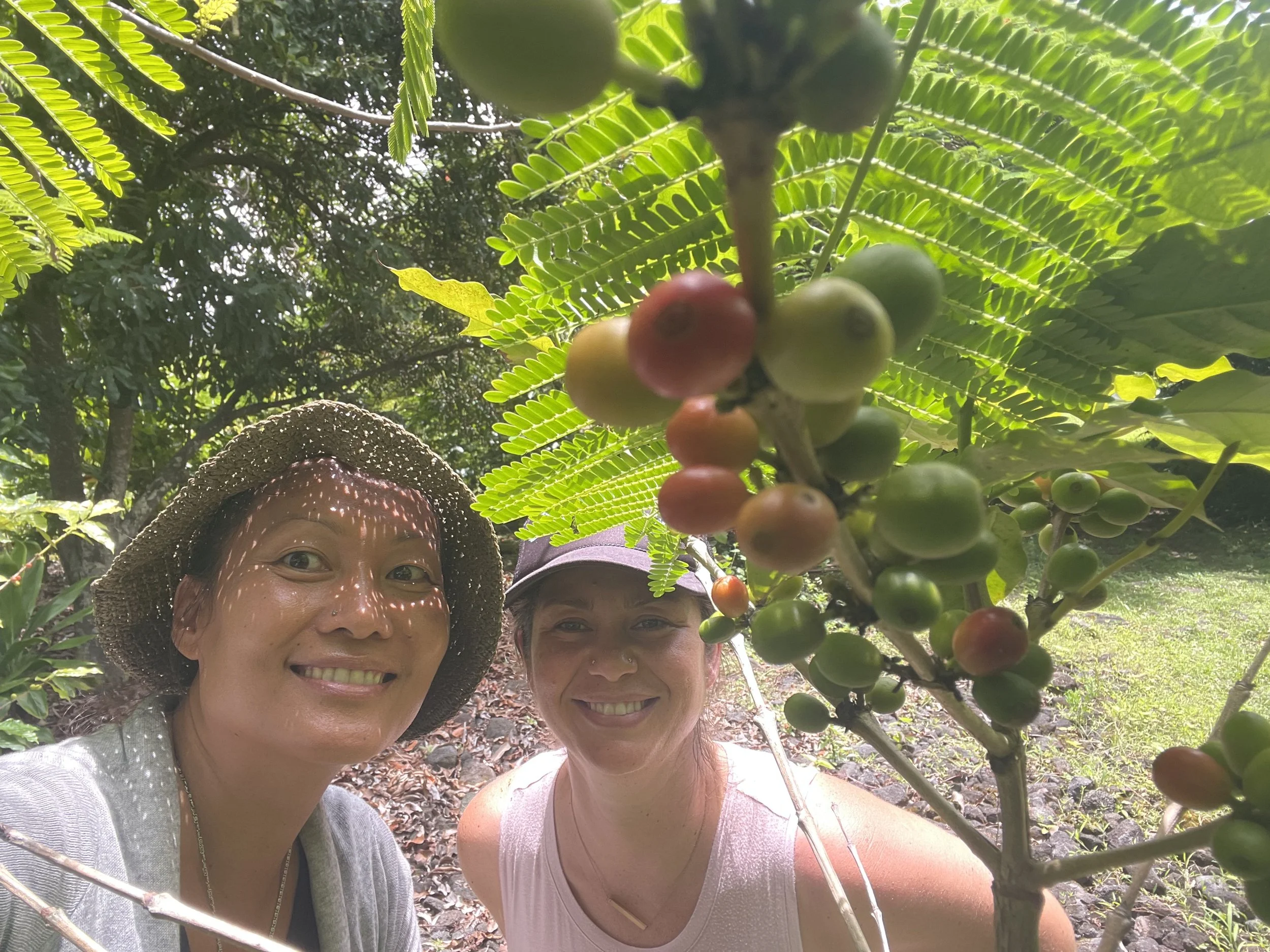 Paliuli Reserve small batch Kona coffee from sacred farm, Big Island Hawaii