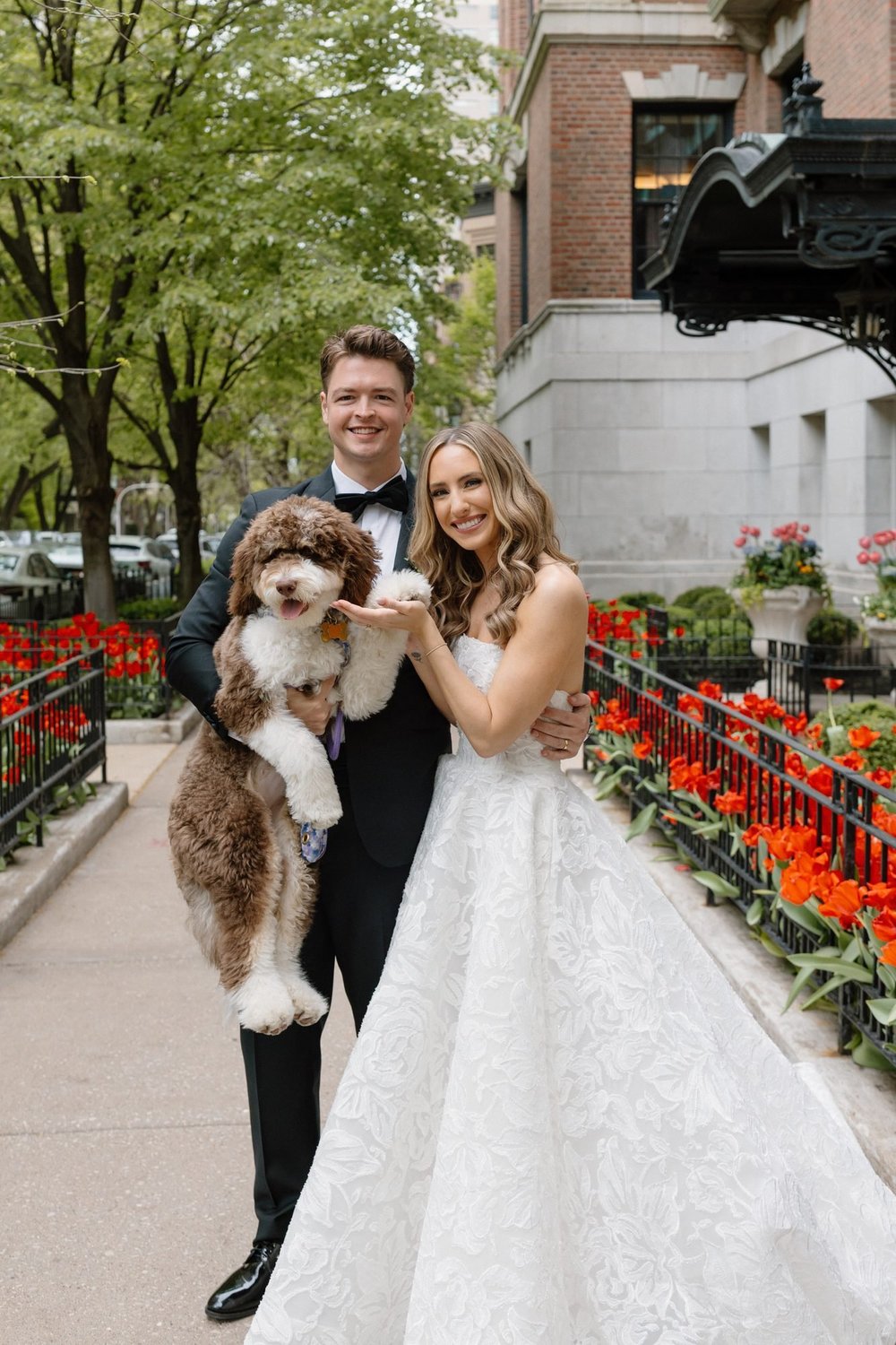 Groom holds Macaroni, an Australian Mountain Doodle puppy, while the bride holds her paw beside red tulips and a brick building.