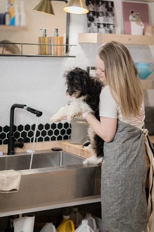 Puppy grooming at the Stokeshire doodle spa in Medford Wisconsin