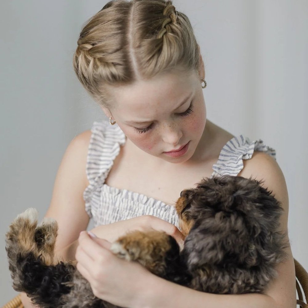 A young family member cradling a Stokeshire Australian Mountain Doodle puppy