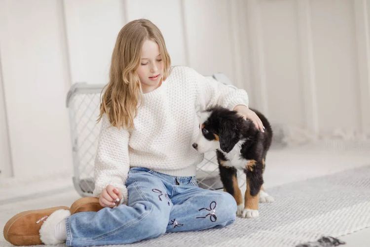 Unfurnished Bernedoodle puppy showing straight coat at Stokeshire Designer Doodles in Wisconsin