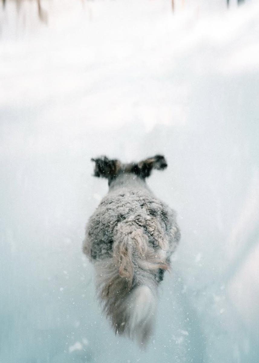 Stokeshire Designer Doodles lifestyle photography