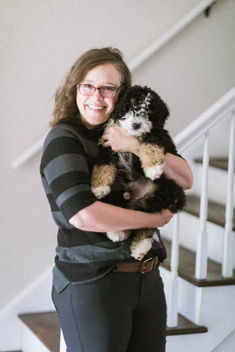 James G. Stokes, founder of Stokeshire Designer Doodles, holding a Bernedoodle puppy from a Breeder's Choice litter in Medford, Wisconsin.