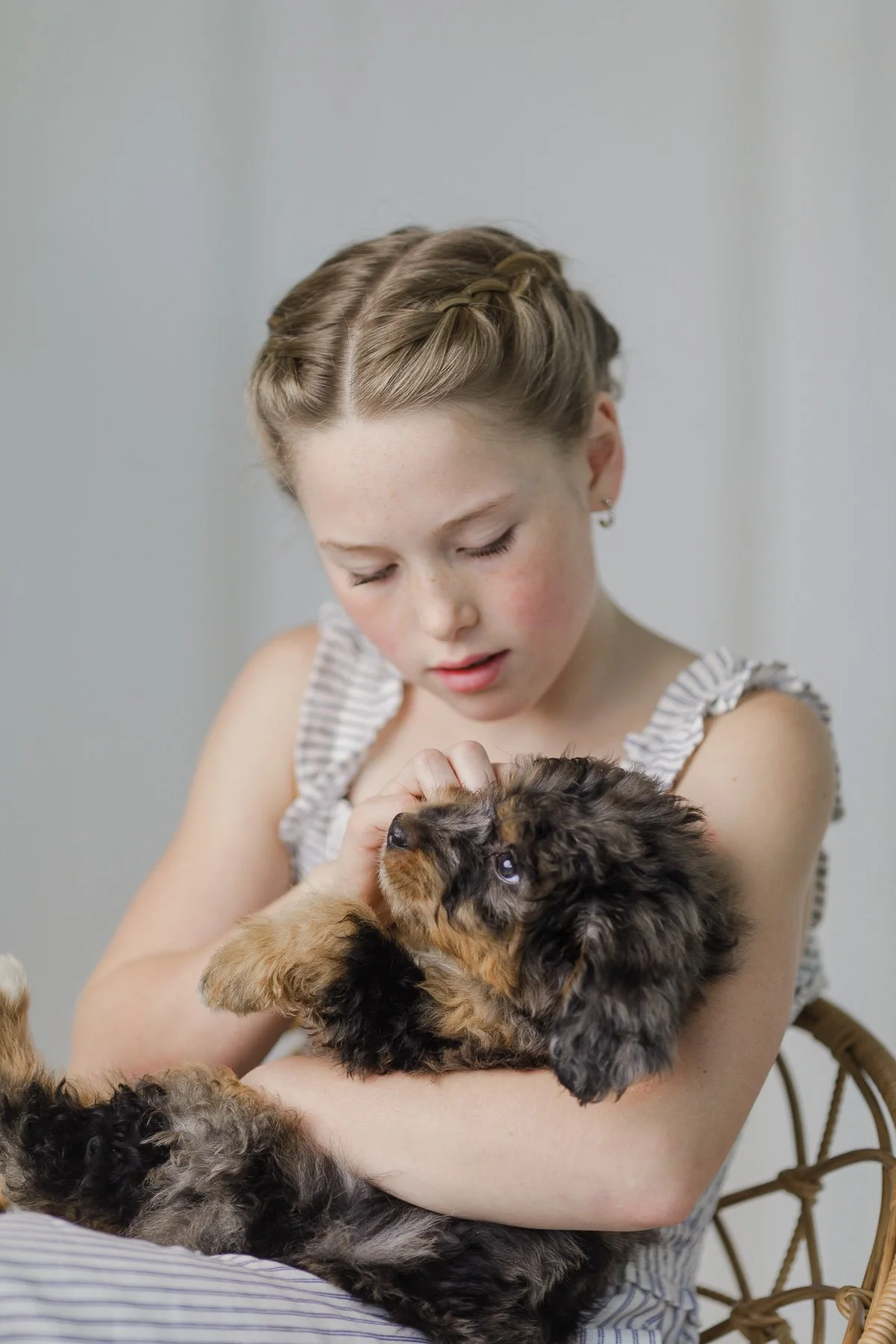 Eveline, Australian Mountain Doodle by Stokeshire Designer Doodles