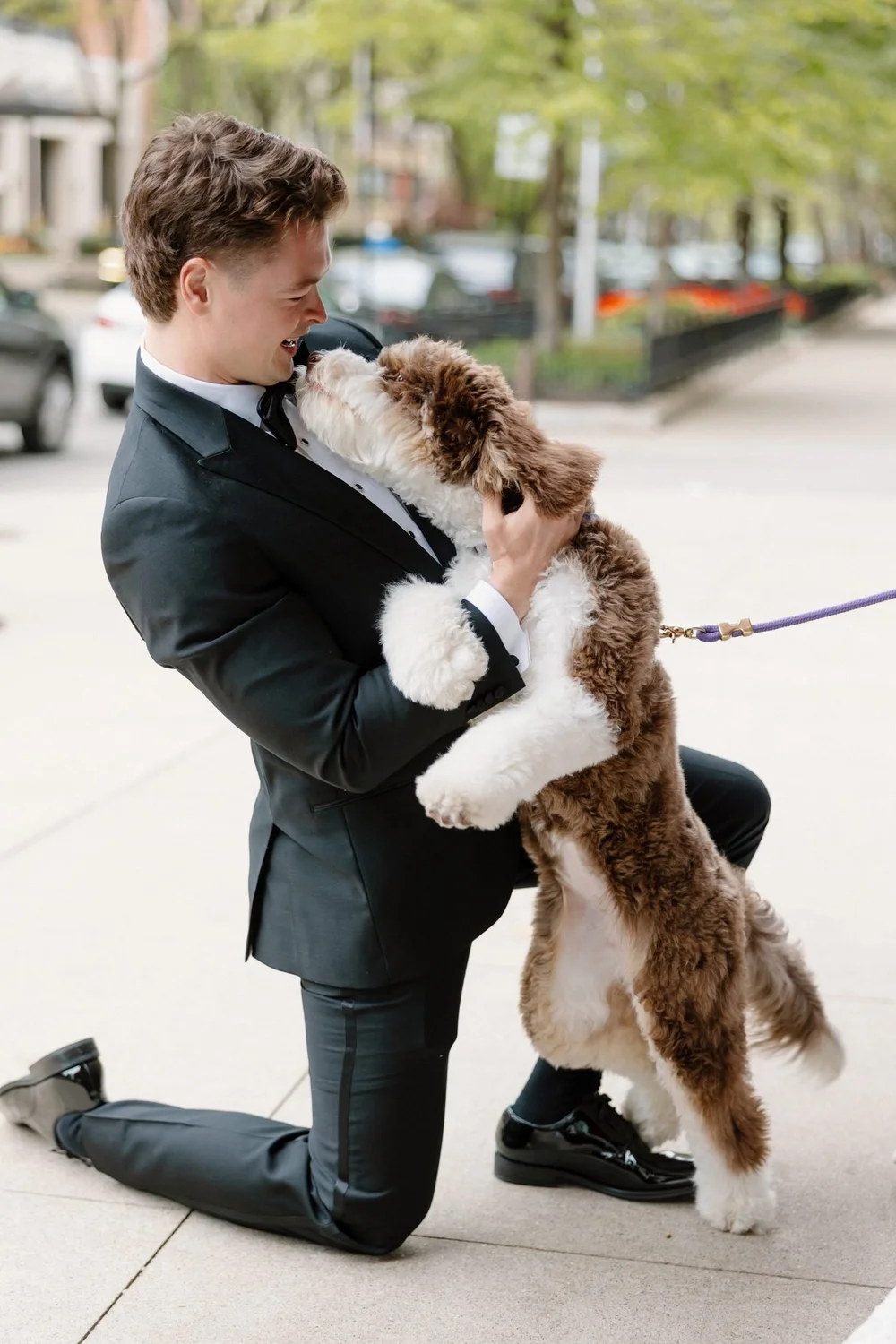 Groom kneels on a Chicago sidewalk as Macaroni, his Australian Mountain Doodle puppy on a purple leash, stands up to kiss his face.