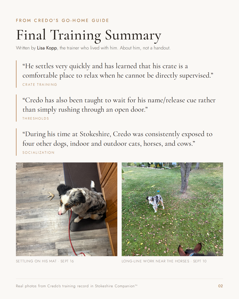 Excerpts from Credo's final training summary written by trainer Lisa Kopp, with photos of Credo settling on a mat and working on a long line near horses